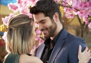 Preview - A Brush with Love