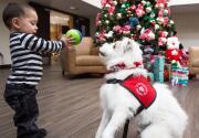 Adoption Ever After - Learn more