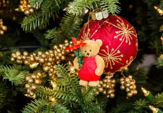 Keepsake Ornament Giveaway - Pretty Poinsettia - Home & Family