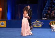 Highlights - Best in Snoring - American Rescue Dog Show 2020