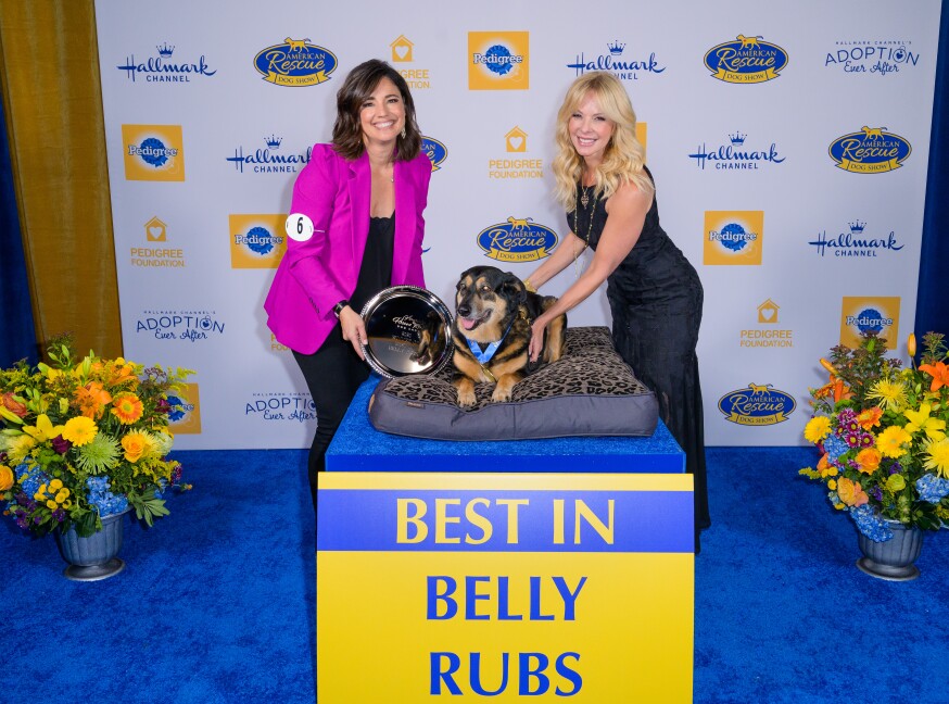Highlights Best in Underbite American Dog Rescue Show 2020