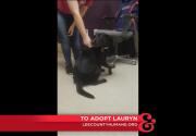 Lauryn - Adoption Ever After - Home & Family