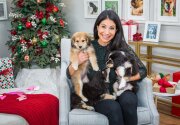 Pet Adoption - Lucy, Linus & Charlie - Home & Family