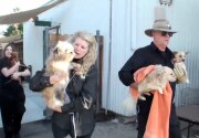 Highlights - Unsung Heroes of Rescue