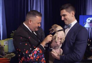 Highlights - VIP Backstage Area