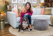 Bella - Adoption Ever After - Home & Family