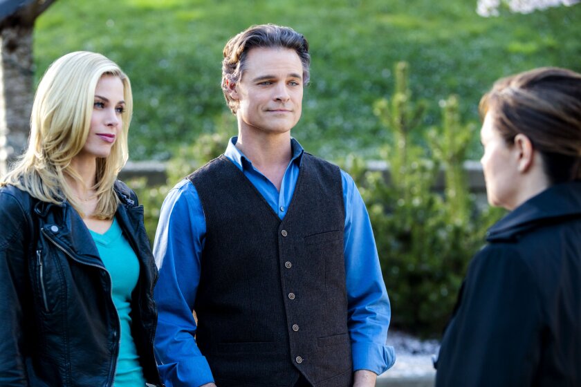 Gourmet Detective - The Movies