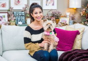 Foxy - Adoption Ever After - Home & Family
