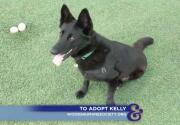 Kelly - Adoption Ever After - Home & Family