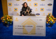 Highlights- Best in Underbite - American Dog Rescue Show 2020