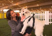 Preview - Happy Cam - American Rescue Dog Show 2020