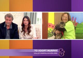 Adoption Ever After - Murphy