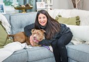 Pet Adoption - Mississippi Home & Family