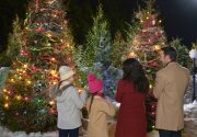 On Location - Christmas with the Darlings