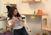 Pet Adoption - Cersi and Tormund - Home & Family
