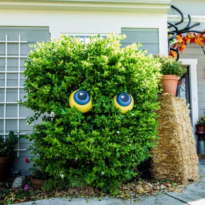 DIY Last Minute Halloween Decorations