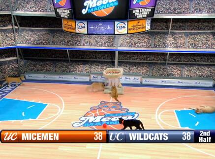 Big Game Winning Moment - Meow Madness