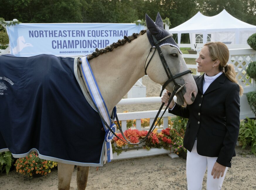 Taking the Reins
