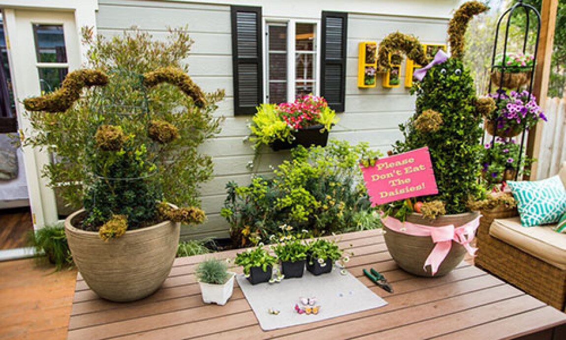 Bunny Topiary With Shirley Bovshow