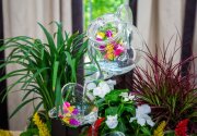 DIY Tabletop Relaxation Fountain - Home & Family