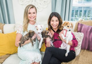 Adoption Ever After - Dolce, Star, Chickpea, and Garbanzo Beans