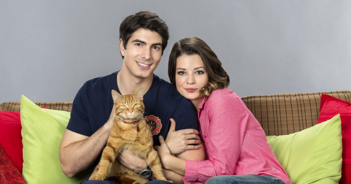 The Nine Lives Of Christmas Cast Nine Lives Of Christmas Cast