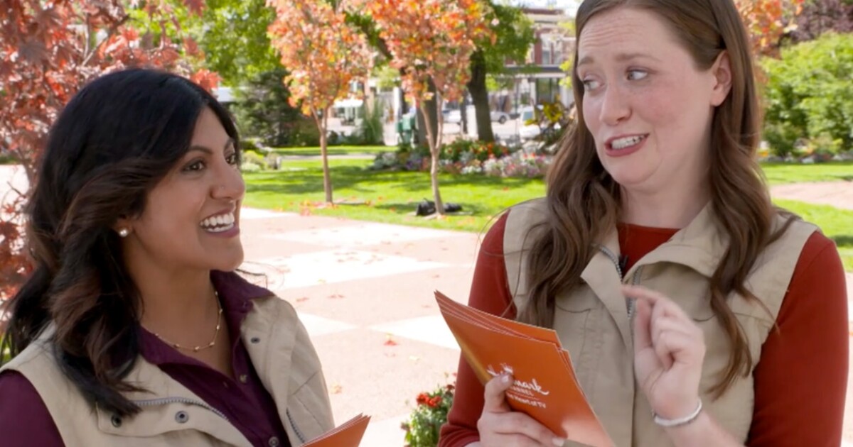 Pumpkin Patch Match Love, Fall & Order Northern Lights