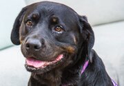 Adoption Ever After - Karen - Home & Family