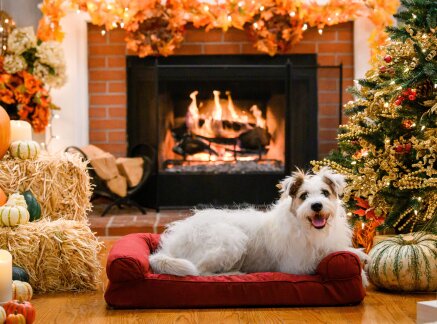 A Happy and Friends Yule Log 2019