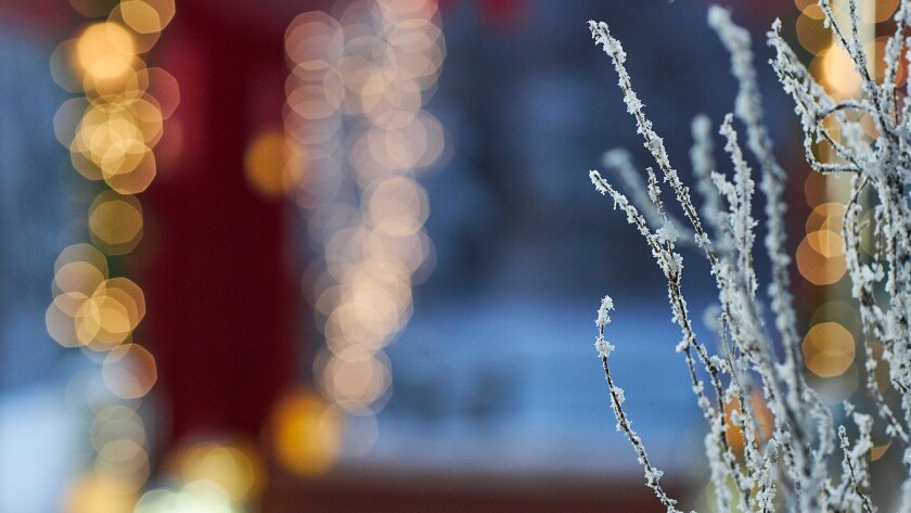 2020 Swept Up By Christmas 2020 Swept Up By Christmas