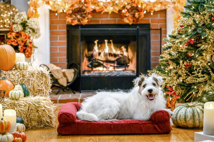 A Happy & Friends Yule Log 2019