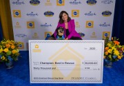 Highlights - Winner Crowned - American Dog Rescue Show 2020
