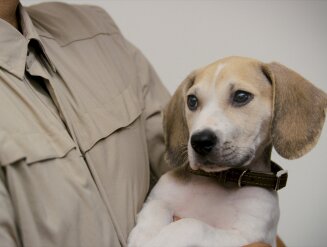 Tip #2 - How to Train Your Husband