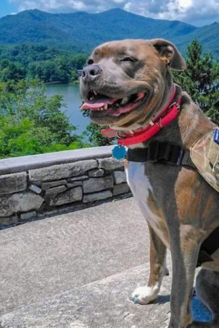 Roxy
